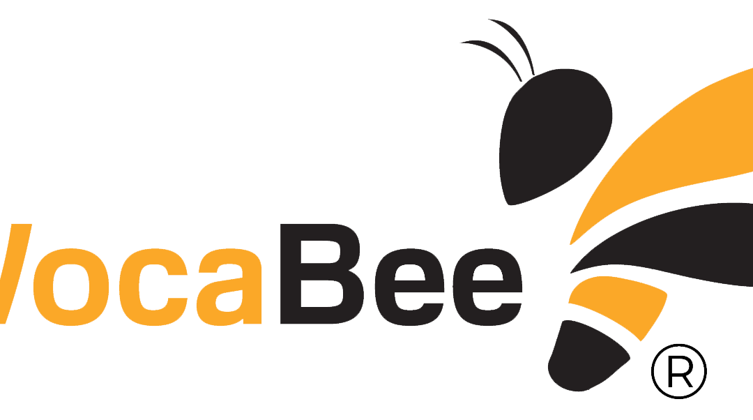 Skvělé 6. místo v krajském kole jazykového WocaBee šampionátu pro třídu 9. A